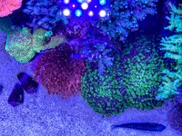 IMG_0317.jpeg