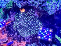 IMG_0318.jpeg