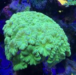 IMG_0177.JPG