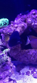 20250728_193933.jpg 20250728_193933.jpg