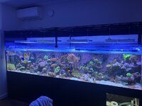 IMG_4037.jpeg