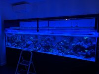 IMG_4038.jpeg