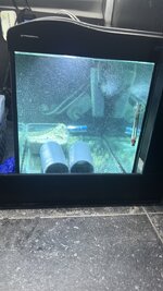F056E959-6EED-40A7-B93A-9C9FD940F569.jpeg