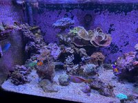 IMG_5854.jpeg