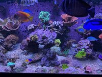 IMG_5853.jpeg