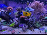 IMG_5852.jpeg