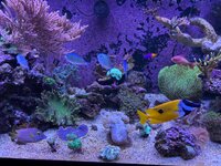 IMG_5851.jpeg