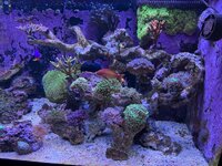 IMG_5850.jpeg