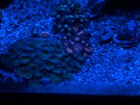 IMG_5913.jpeg