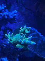 IMG_5922.jpeg