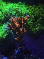 IMG_5919.jpeg