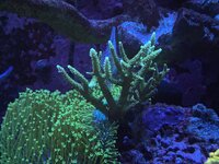 IMG_5918.jpeg