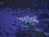 IMG_5916.jpeg