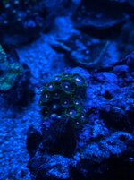 IMG_5915.jpeg