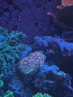 IMG_5622.jpeg