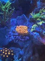 IMG_5620.jpeg