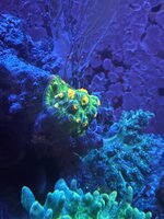 IMG_5623.jpeg