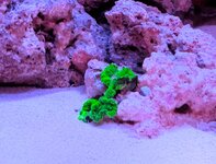 PXL_20250804_204608037~2.jpg