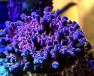 IMG_0188.JPG