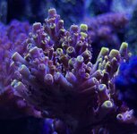 IMG_0235.JPG