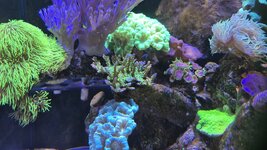 20250816_133234.jpg 20250816_133234.jpg