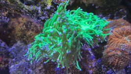 20250816_133450.jpg 20250816_133450.jpg