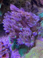 IMG_7906.jpg IMG_7906.jpg