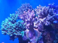 20250823_161653.jpg