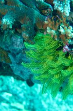 IMG_2629.jpg