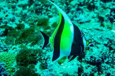 IMG_2632.JPG