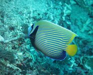IMG_2667.jpg