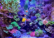 IMG_1428.jpg