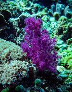 IMG_2805.jpg