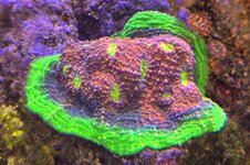20250827_115047.jpg 20250827_115047.jpg