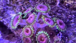 20250827_115157.jpg 20250827_115157.jpg