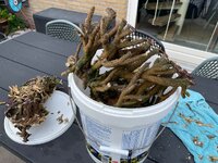 IMG_1439.jpeg