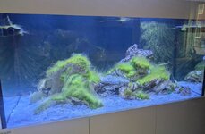 PXL_20250903_102337984~2.jpg