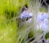 PXL_20250903_102422674~2.jpg