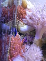 20250906_131403.jpg