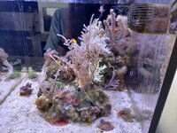 20250906_131341.jpg