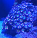 20250909_091018.jpg