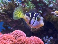 IMG_4147.jpeg