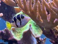 IMG_4150.jpeg