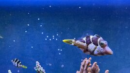 IMG_4139.jpeg
