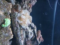 20250922_153114.jpg