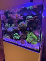 IMG_8160.jpeg