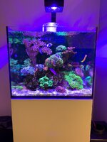 IMG_8158.jpeg