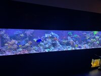 IMG_6912.jpeg