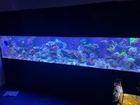 IMG_6913.jpeg