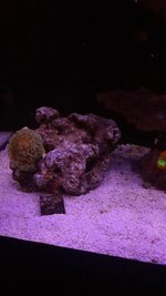 20251003_130542.jpg 20251003_130542.jpg